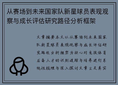 从赛场到未来国家队新星球员表现观察与成长评估研究路径分析框架